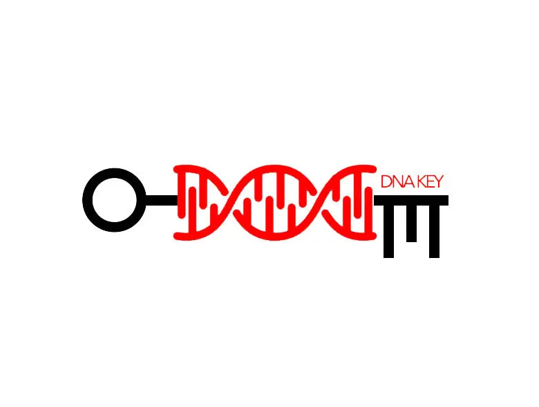 DNA Key