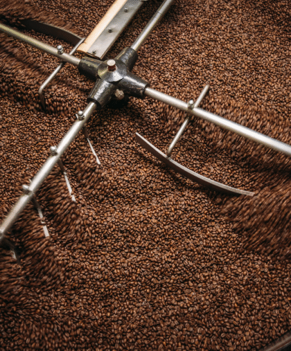 CHL Application Header Low Carcinogen